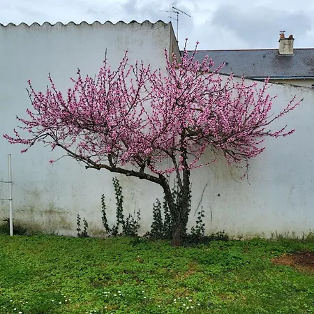 L'escale Des Roses Doué-la-Fontaine