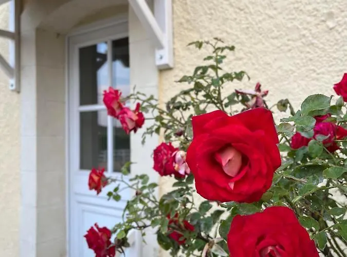 Vakantiehuis L'escale Des Roses Doué-la-Fontaine